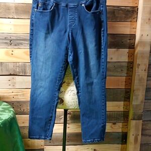 Belle by Kim Gravel Blue Stretch Jeggings 10P